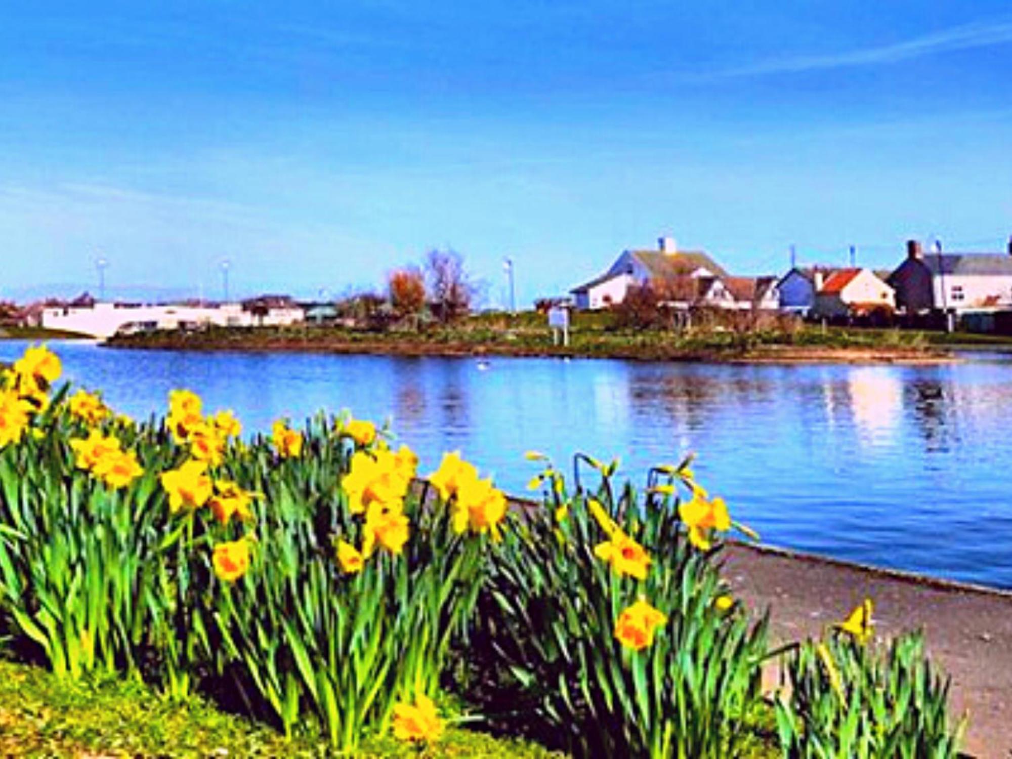 Romantic Lakeside Cottage By The Beach! With Super Cosy Log Burner! The Perfect Escape To Your Home From Home By The Sea! So Relaxing - You Won'T Want To Leave! Pet Friendly! Mablethorpe Exterior foto